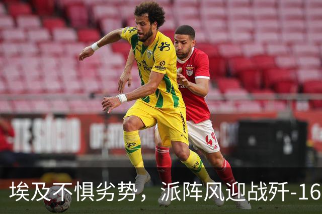 埃及不惧劣势，派阵风迎战歼-16，显示西方对中国军力的认知