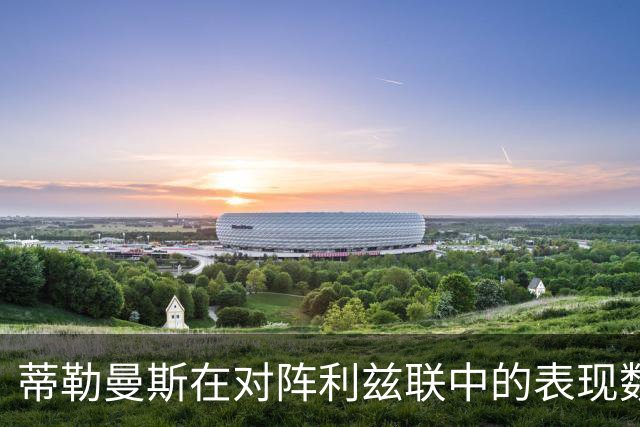 蒂勒曼斯在对阵利兹联中的表现数据分析