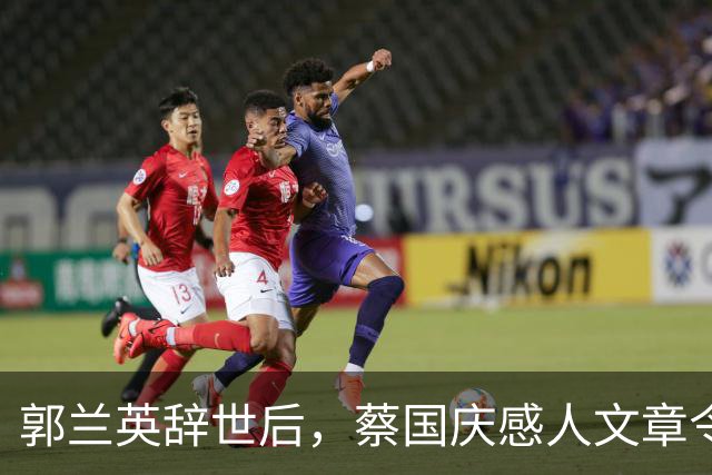 郭兰英辞世后，蔡国庆感人文章令他形象大增